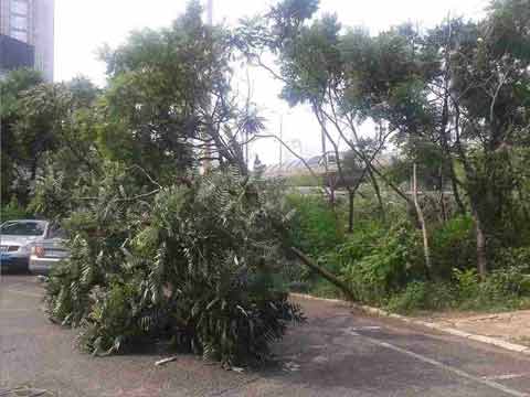 ������ҹ���ֿ�籩������