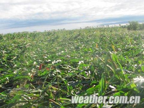 ������ʡ�������������� ũ����������