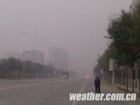 31���������� ������ת����������