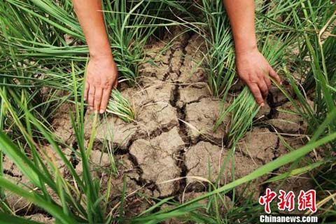 �����ֵ������������¼���������غ���