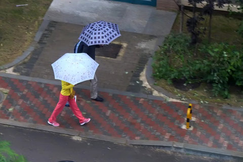 ��ˮ���������ϻ��� �����¶��ս�6~8��