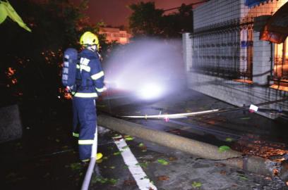 �Ĵ�����ɽ�廬���Ҷ���Ȼ���ܵ�