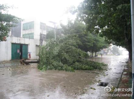 �����͡������ִ���ǿ�籩�� ���콵ˮ������������ 