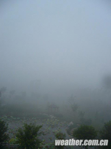 ɽ�������콵�꽵�� ��ע�����