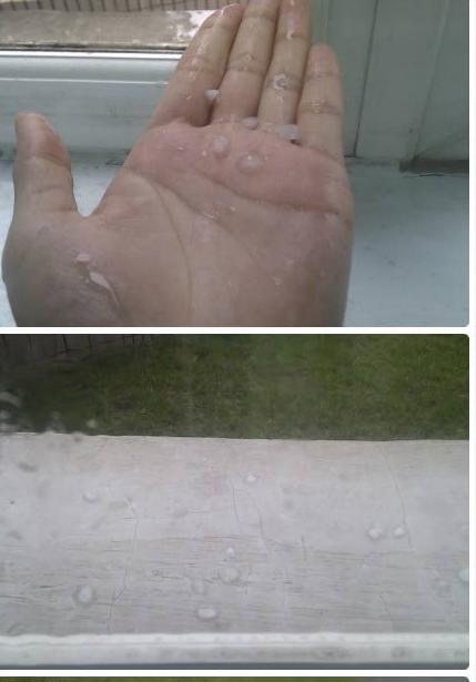 ������������������ ���ֵ������ֽ���