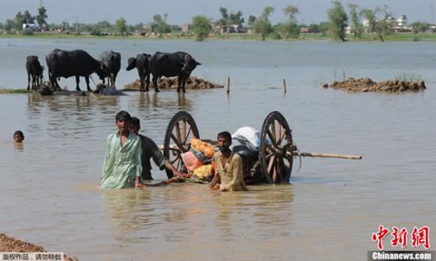 �ͻ�˹̹��������371������450��������