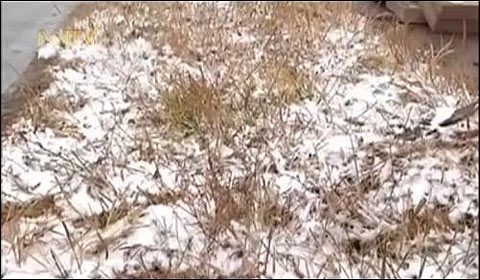 ���ɹ�������Ƶ�� 12�ս���ӭ��罵��