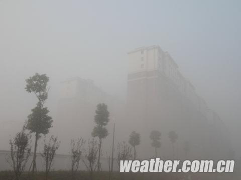 ���Ͻ��������Ԥ�� δ����������ת��������