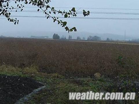 ������������ֽ�ѩ ���ջ���Ӱ��