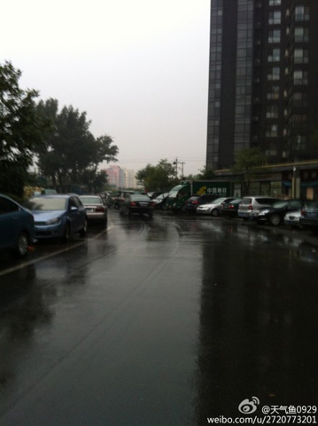 ��������΢��ֱ��