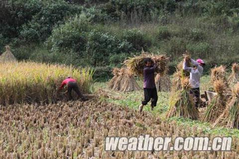 �������Ϯ���� ץ������������ʱ����