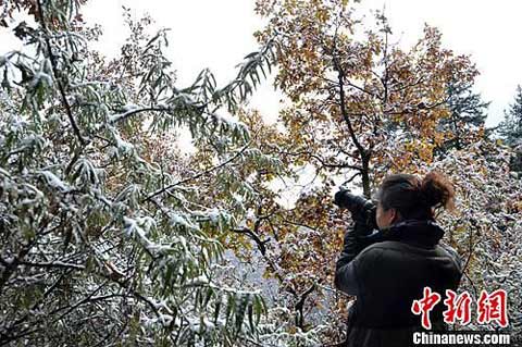 ��������ԣ�����������ս���ѩ����װ�ع���