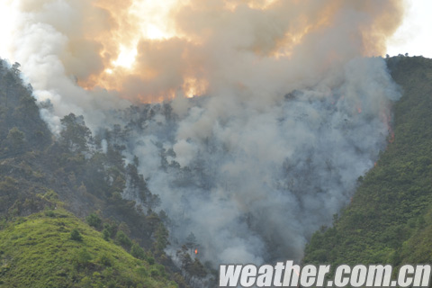 近期广西局部火险等级高 博白现森林火灾