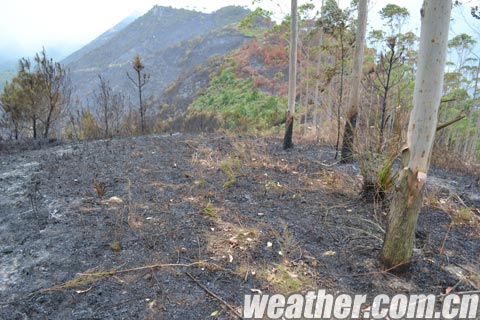 近期广西局部火险等级高 博白现森林火灾