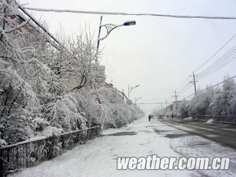 �ຣ�ϲ�������ѩ �����ݾ��������°�����ǿ��ѩ