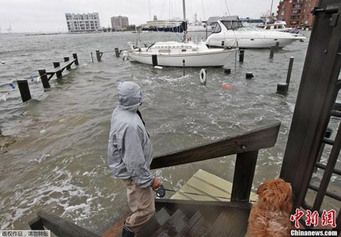 쫷硰ɣϡ1/5˿ ʧǧԪ