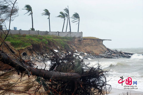 ��ɽ��Я����Ϯ������ ��������ɺ��������