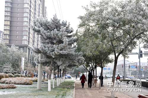 ���ɹ�ͨ�ɽ�Сѩ��������ڡ����