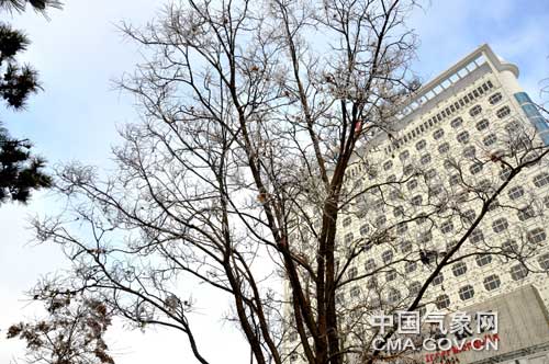 ���ɹ�ͨ�ɽ�Сѩ��������ڡ����