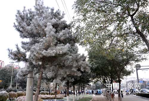 ���ɹ�ͨ�ɽ�Сѩ��������ڡ����