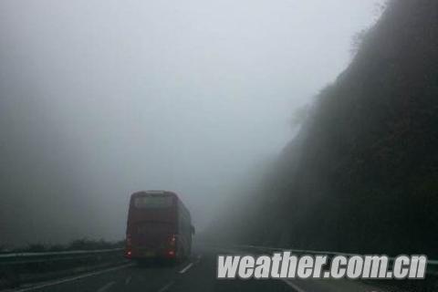 ������ǭ�� �ֵ��ܼ��Ȳ���100��