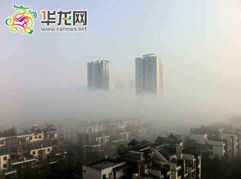 �������������ƺ�����¥ ר�ҳ�ֻ�Ǿֵ���