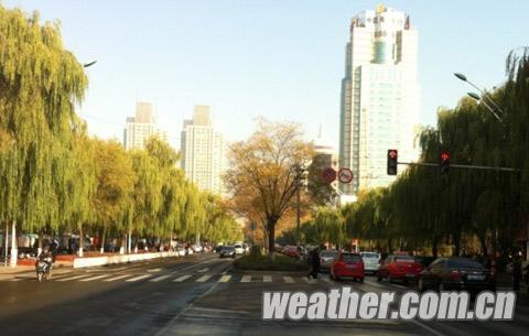 ������Ϯ ɽ����ӭ��罵ˮǿ��������