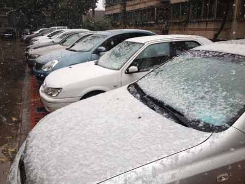 ɽ��ӭ�������°����׳���ѩ δ�����˪�� 