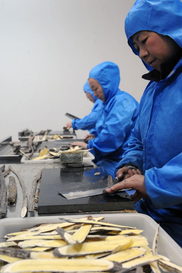 山西浑源县泽青芪业员工在整理黄芪库房(11月1日摄)。