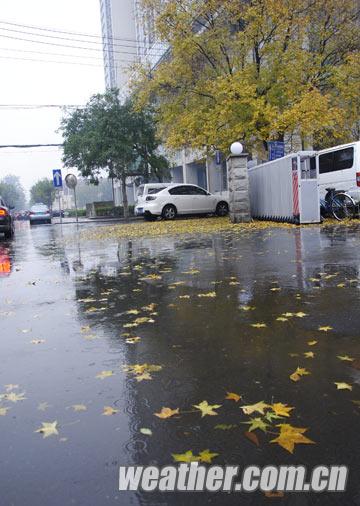 ���10��ҹ�����ѩ ��ѩ��������