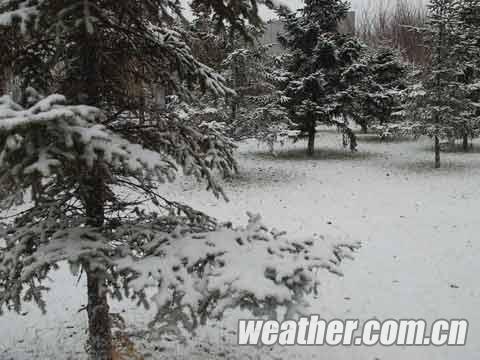 �����ֽ�ǿ��ѩ ��ͨ����ɽ��ѧУͣ��