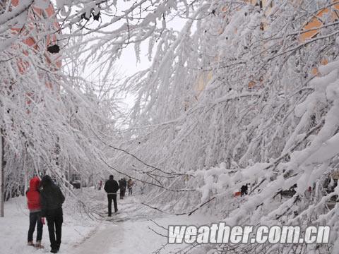 �׸������ش�ѩ ѧ��ͣ�β��ֳ���ͣˮͣ�磨��ͼ��