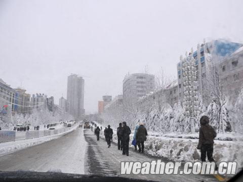 �׸����ش�ѩ ѧ��ͣ�β��ֳ���ͣˮͣ�磨��ͼ��