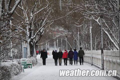 雪袭黑龙江 省内高速公路全线封闭