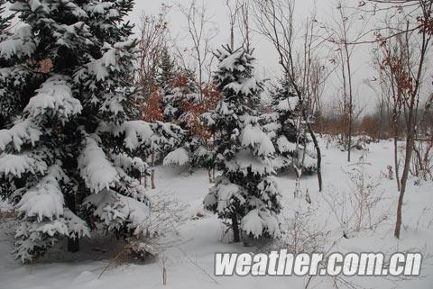 ���ֻ�ѩ����35���� ����ѩ����