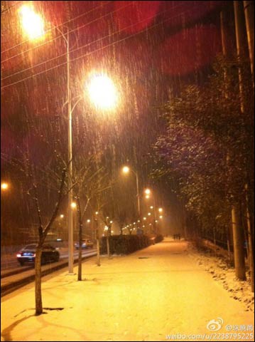 �½���³ľ������ѩ ������������Ӧ�Է���