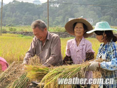 ����δ����������� ����������ץ��ʱ������