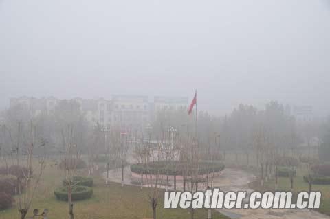 河北雨后现雾(组图)
