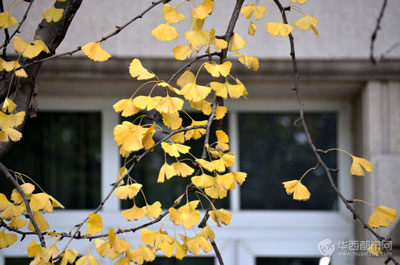 �Ĵ����ӽ��ʱ ���Ŀ�ʼӭ����