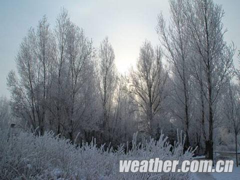 ������ʡ��������ڡ���� ����������