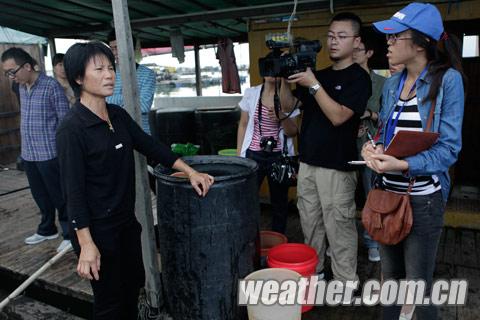 ǿ̨��֮�� �����������ʹ������