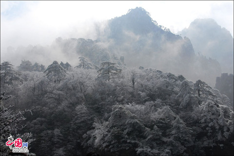 安徽黄山迎降雪 雾凇壮美引游客