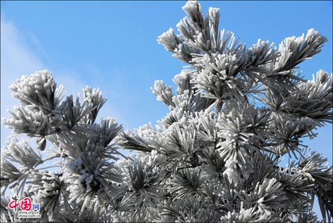 安徽黄山迎降雪 雾凇壮美引游客