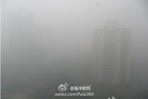 �񳿴��������� ������·����纽���Ƴ�