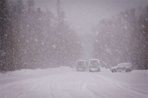 �������罵�¾ֵؽ�ѩ ��һ����������ƴ���