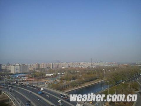 �񳿱���������´����µ� �������������