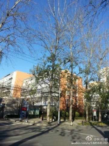 �����ҹ�ž��� ��������������