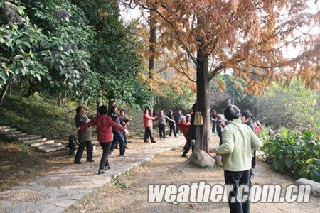 ���ջ�������ӭ��ѩ �������������Ϊ��