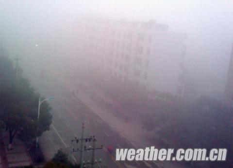 �����񳿴������� �ֵ��ܼ��Ƚ�Ϊ60��