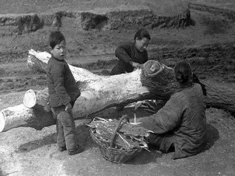 1942�����Ϊ�ο�������